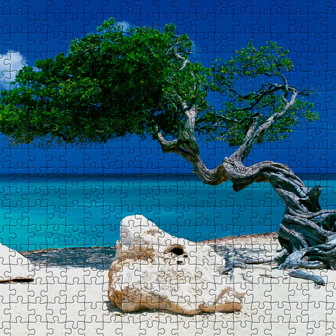 Coleção 'Alexander von Humboldt' - Heye Puzzle Brasil