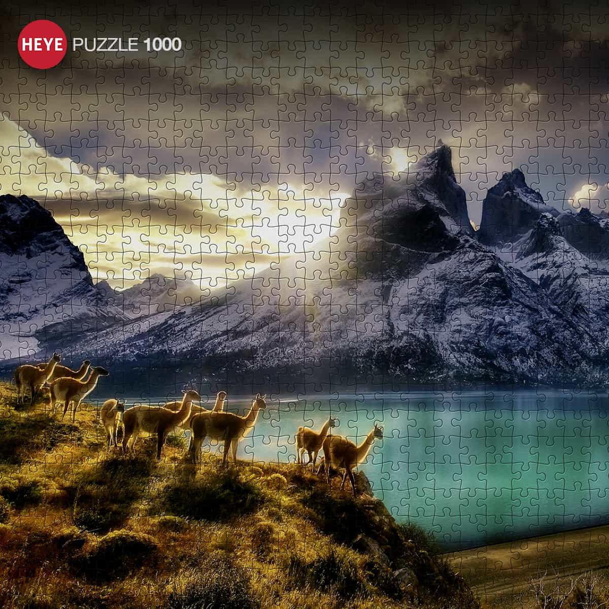 Wunderschönes Puzzle - Guanacos (Gebraucht) in Hohenrain für CHF 2 – mit Lieferung auf